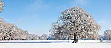 韩国豪门取得连胜，力压对手晋级